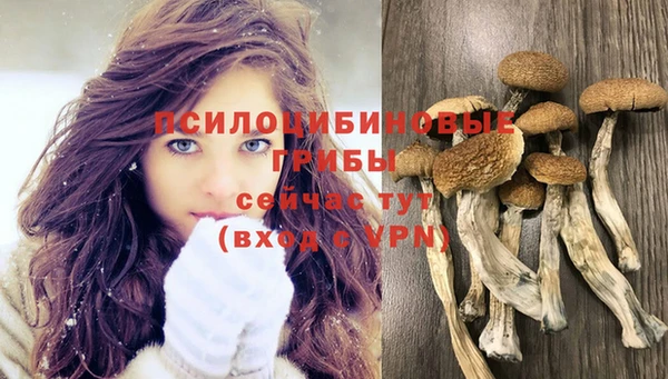 mdpv Карталы